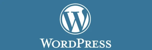 wordpress-developer